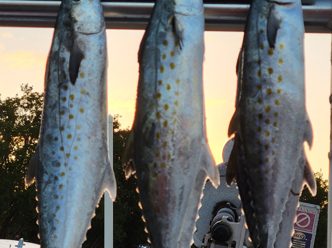 Best Bet Sportfishing-Key Colony Beach必去景点