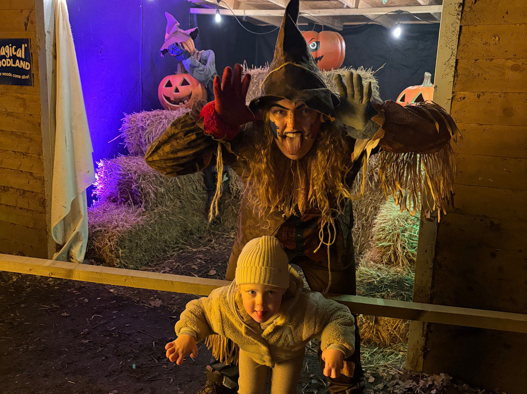 Cheshire Outdoors-Sandiway必去景点