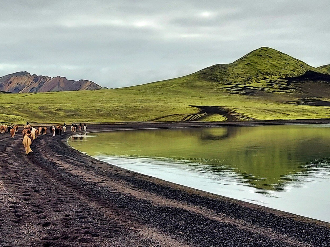 Nupshestar-塞尔福斯必去景点