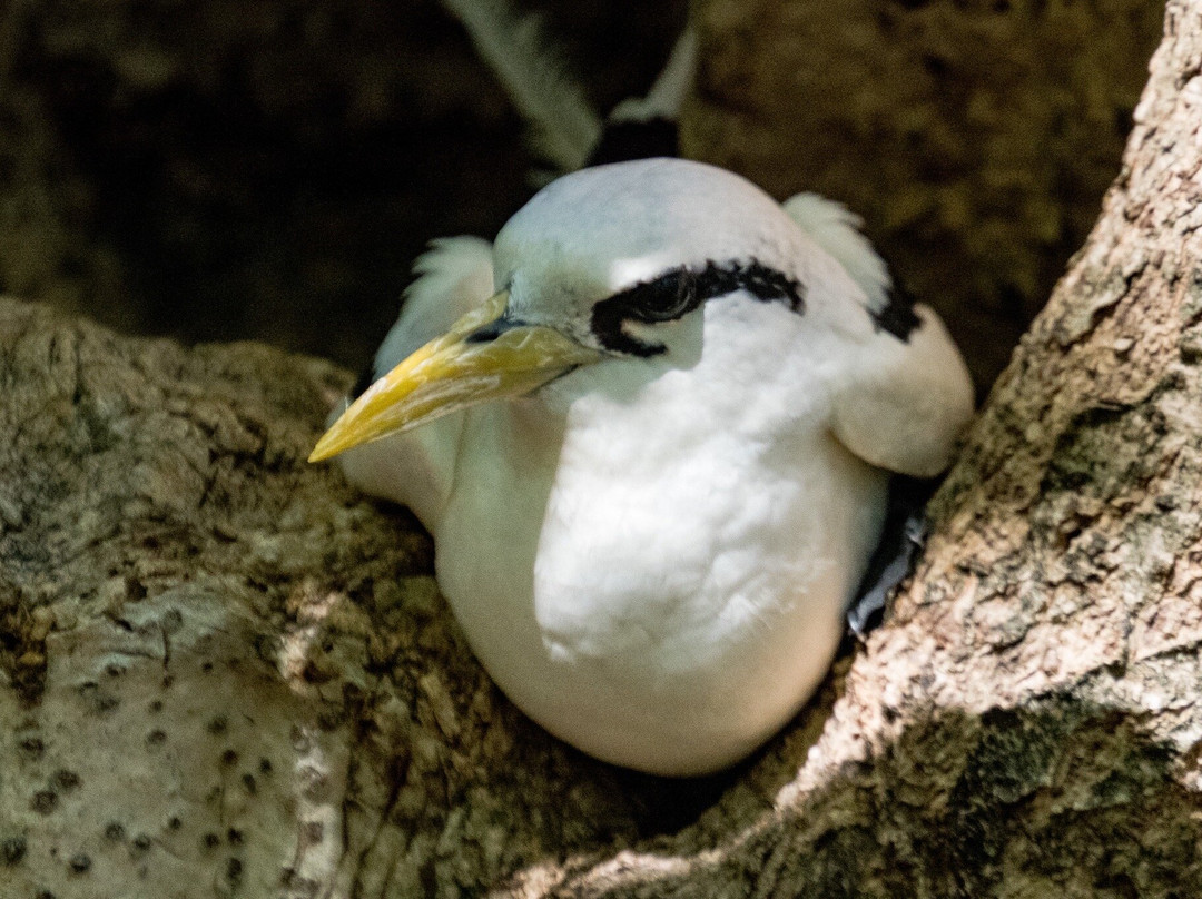 Angel Tours-Amitie必去景点