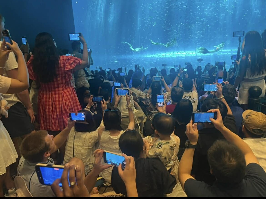 Rooty Trip-富国岛必去景点