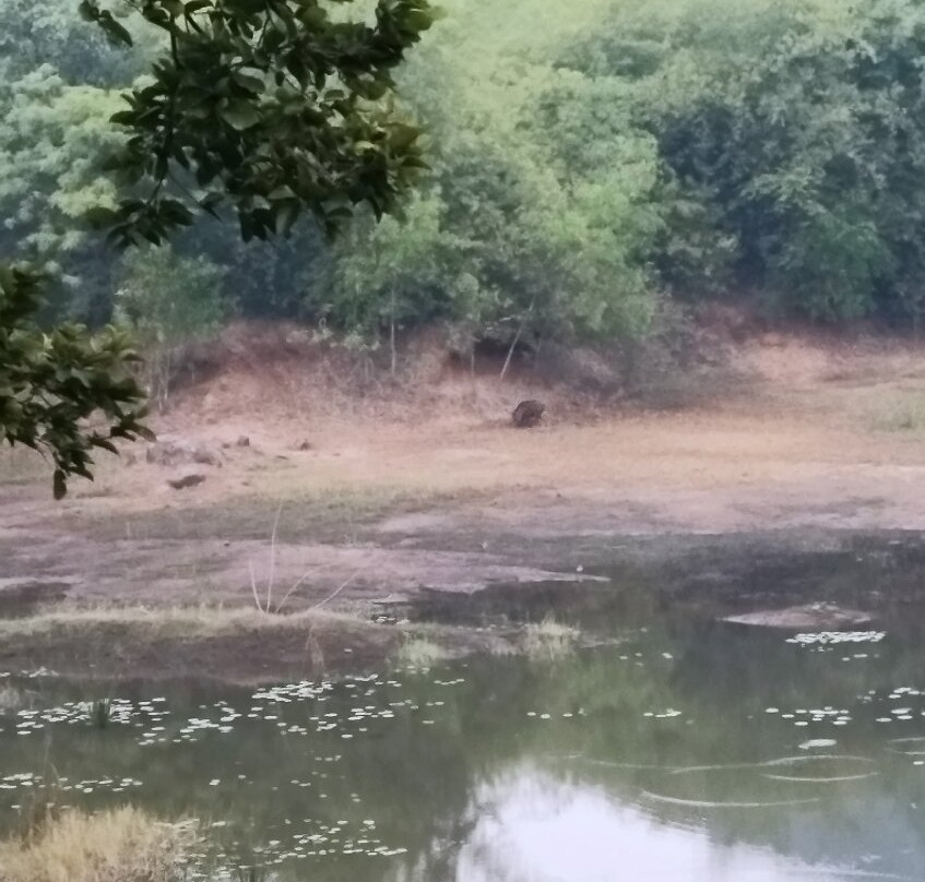 Dhenkanal Palace主图