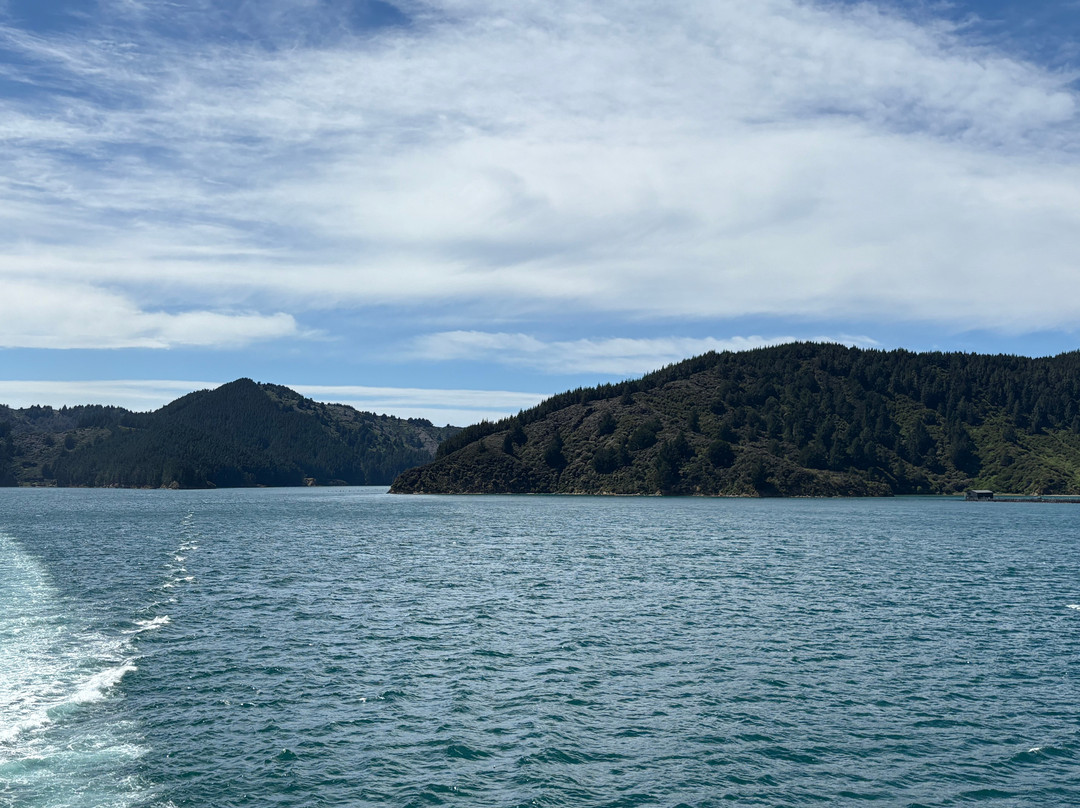 Interislander-皮克顿必去景点