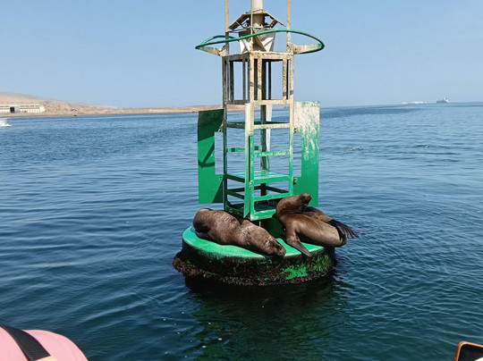 Macanudo Tours-利马必去景点