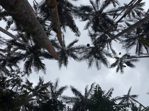 Carbonera Valley Tour-萨伦托必去景点