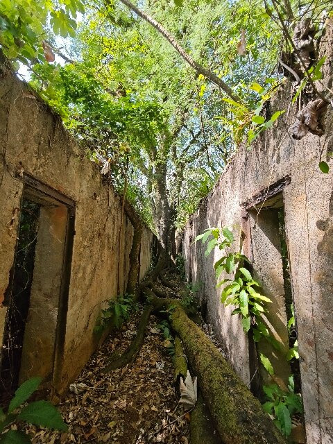 Les Iles du Salut-Kourou必去景点