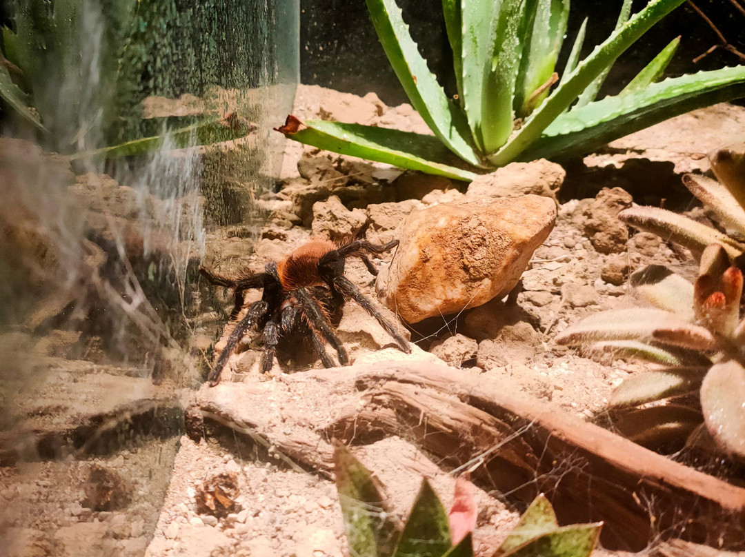 Citta Della Scienza-那不勒斯必去景点