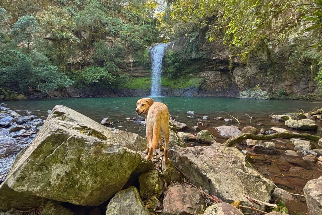 Cachoeira Garapiá-Maquine必去景点
