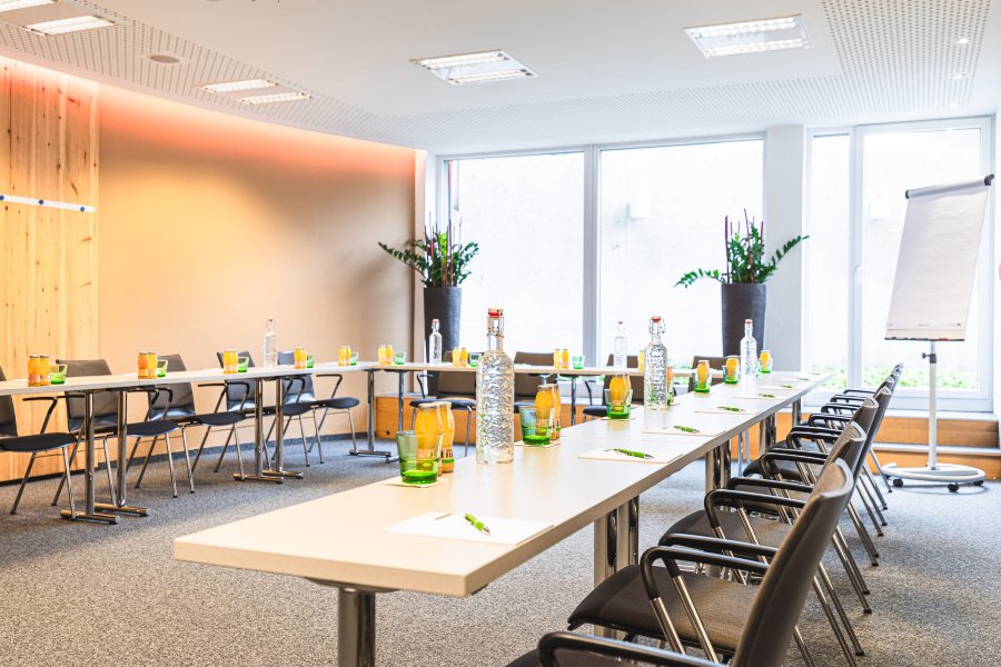 里岑霍夫 – 湖畔酒店及水疗中心-商务中心/多功能厅