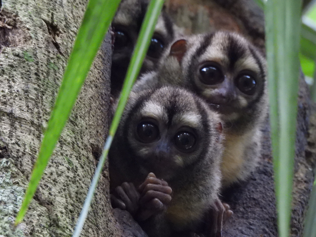 Panama Road Trips-巴拿马城必去景点