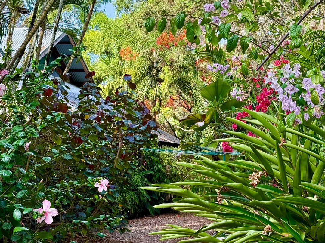 迈泰度假村主图