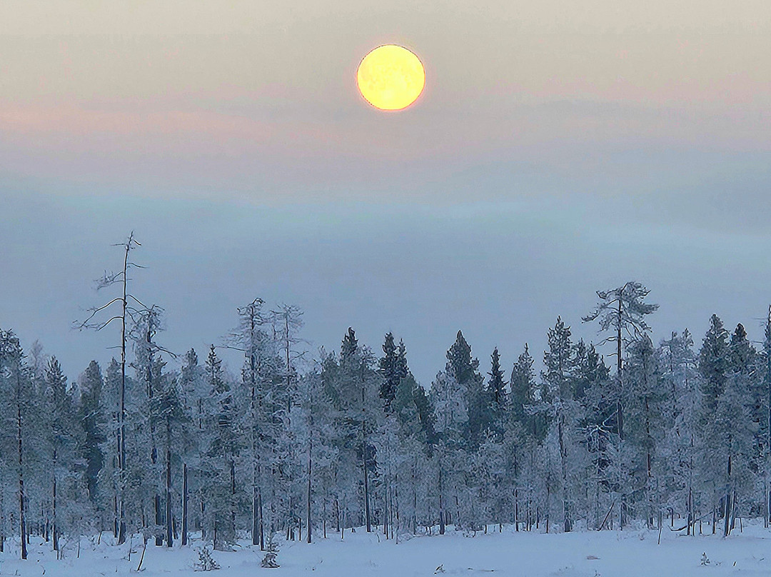North Wind Lapland-Yllasjarvi必去景点