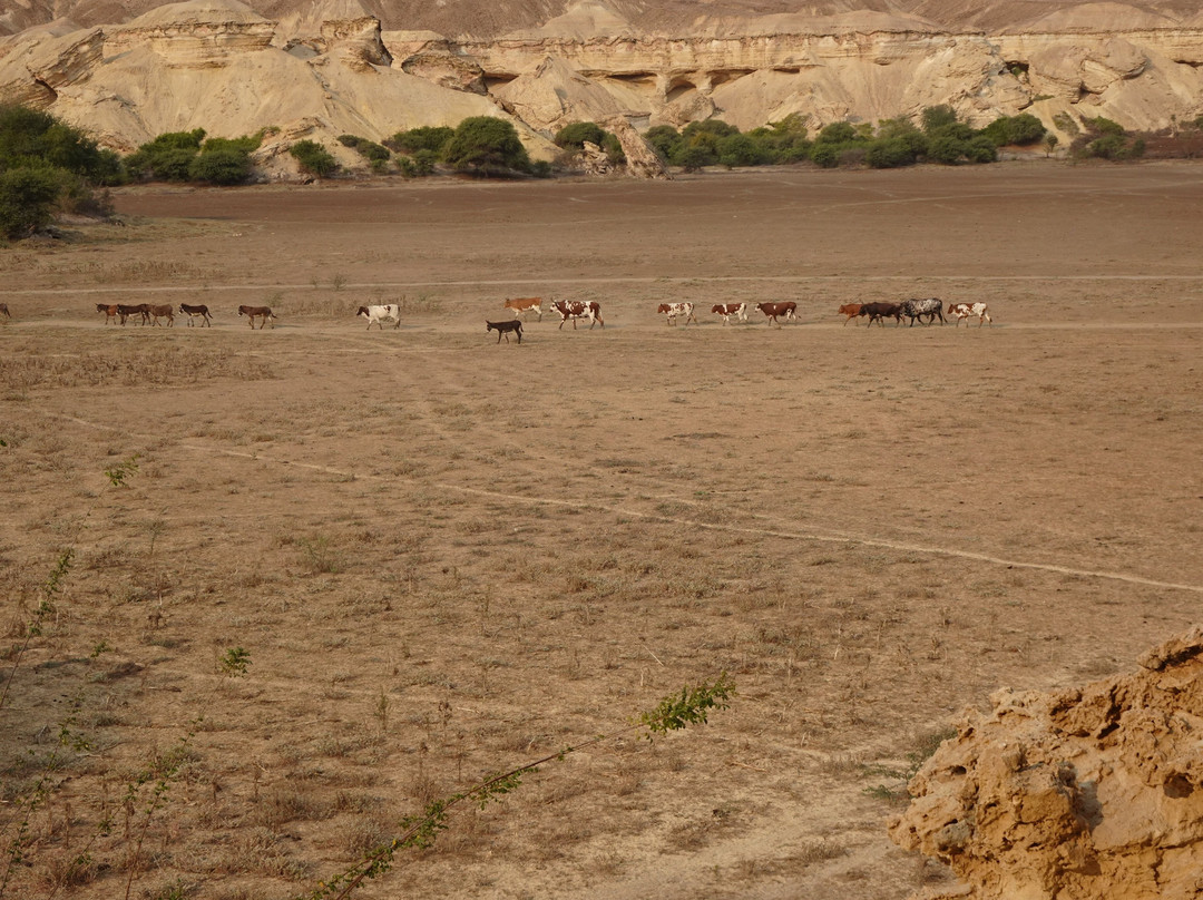 Iona National Park-Namibe必去景点