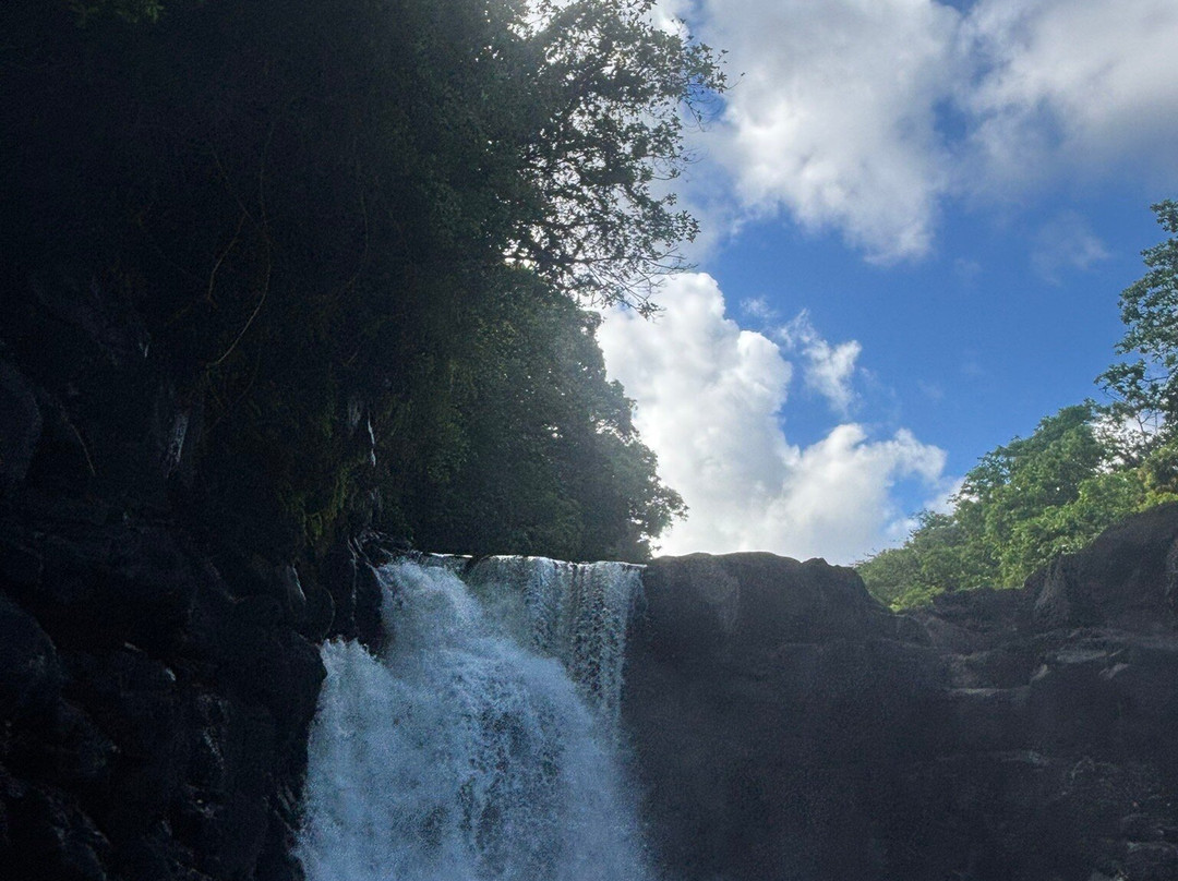 Paradisio Excursions Ile Maurice-大湾必去景点