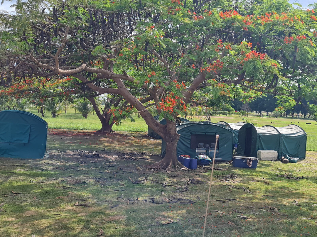 Nick's Adventures Bolivia-圣克鲁斯省必去景点