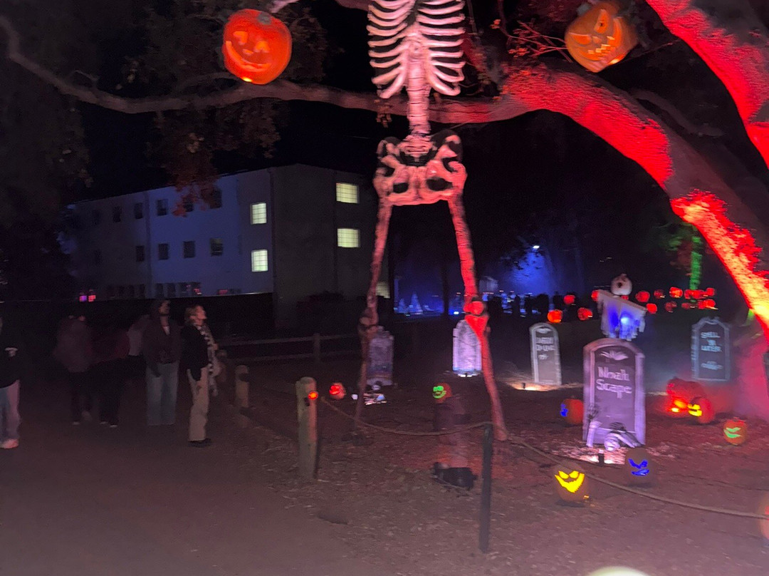 Nights of the Jack-卡拉巴萨斯必去景点