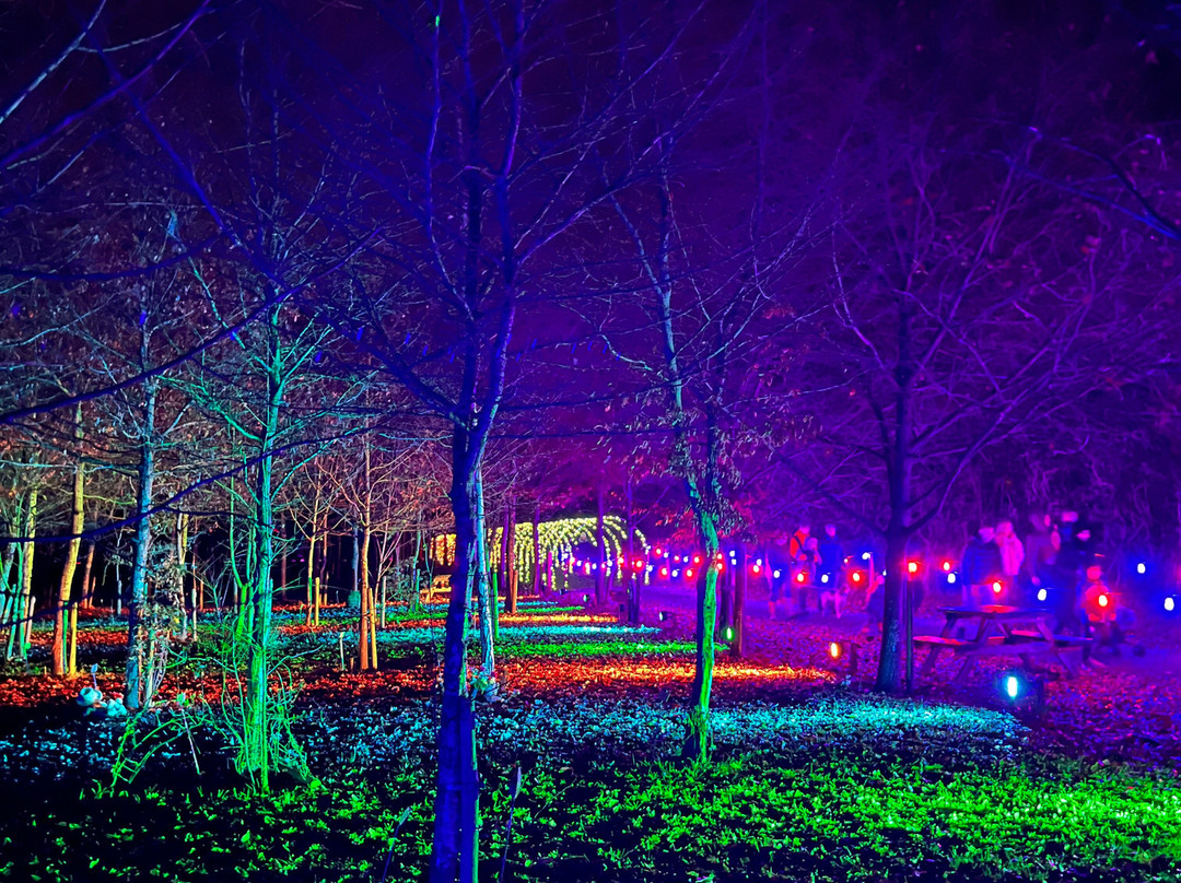 Heritage Wood-阿什伯恩必去景点