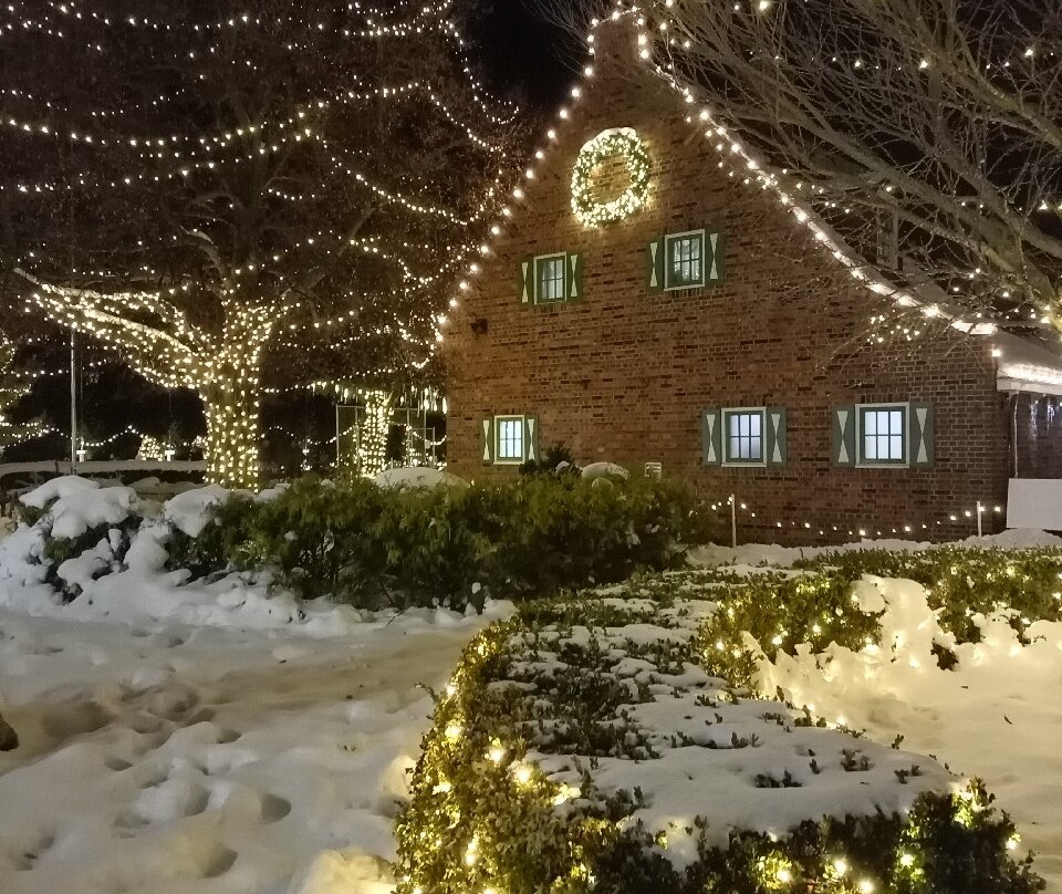 风车岛花园-荷兰村必去景点