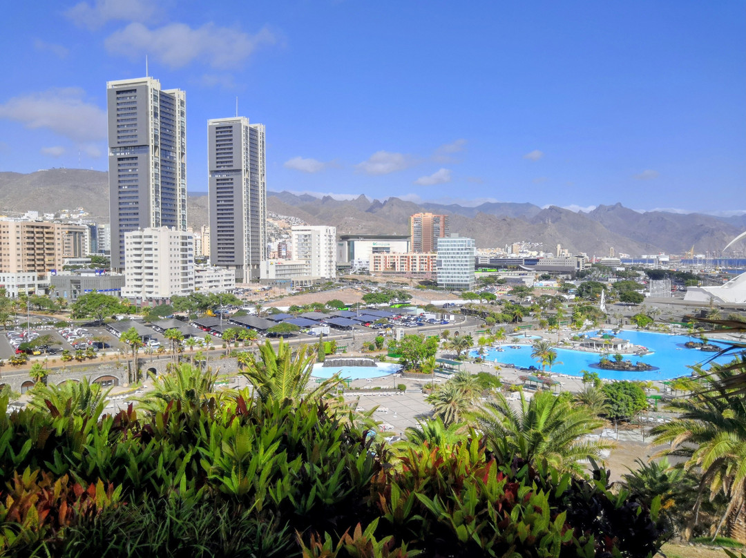 Jardín Botánico del Palmetum-圣克鲁斯-德特内里费必去景点