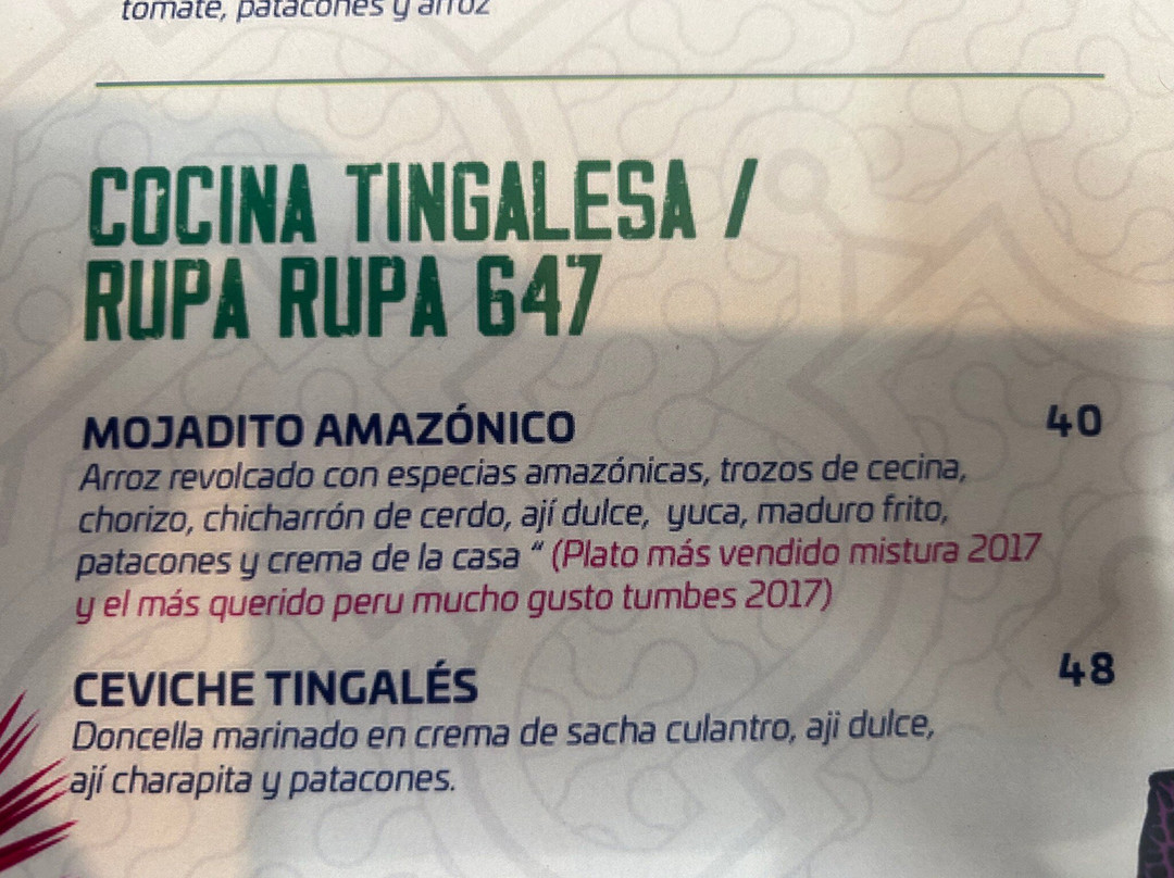 El Encanto de la Selva - Lince