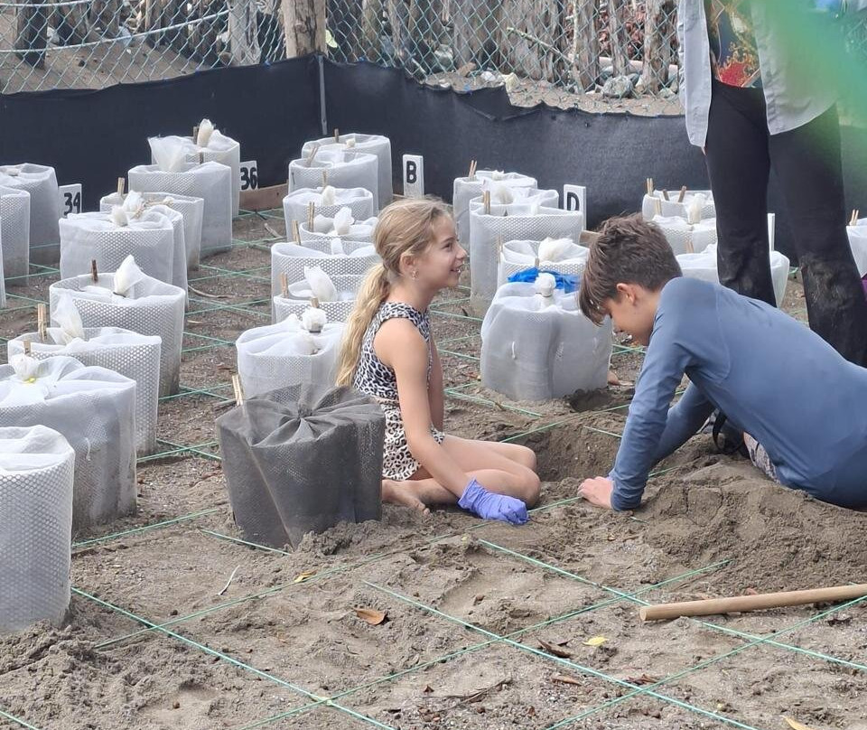 Save The Turtles Playa Venao-维纳欧海滩必去景点