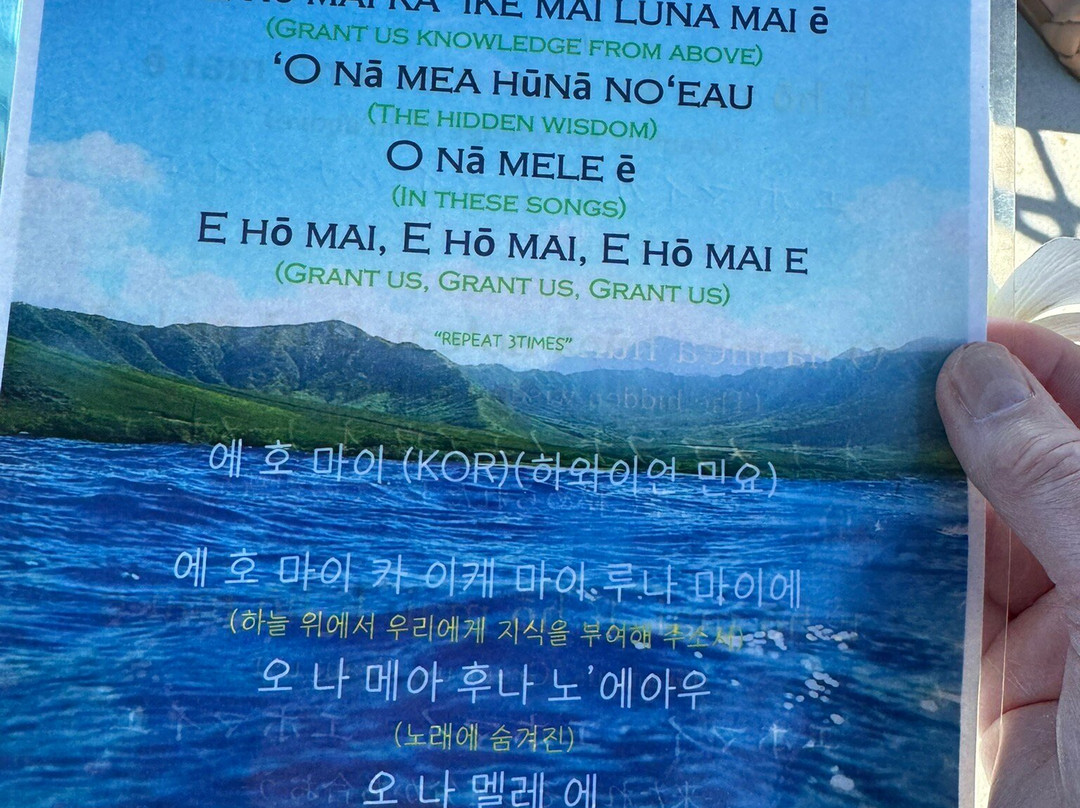 Iruka Hawaii Dolphin-火奴鲁鲁必去景点