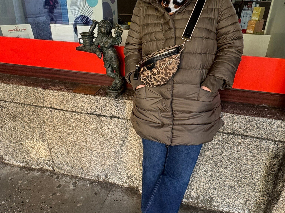 Wroclaw's Dwarfs-弗罗茨瓦夫必去景点