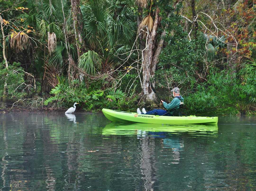 Nature Coast Eco Tours-Homosassa必去景点