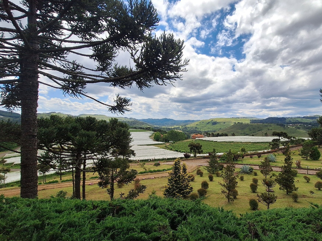 Villa Francioni-Sao Joaquim必去景点