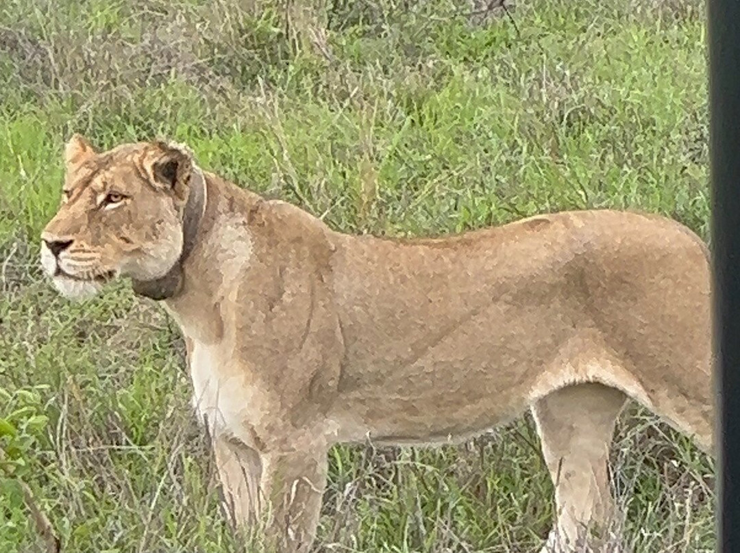Honeyguide Tented Safari Camps - Mantobeni
