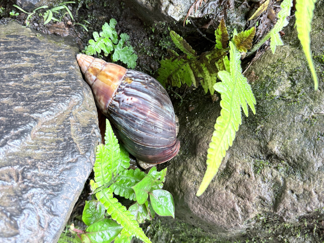 Cascade Blanche-Salazie必去景点