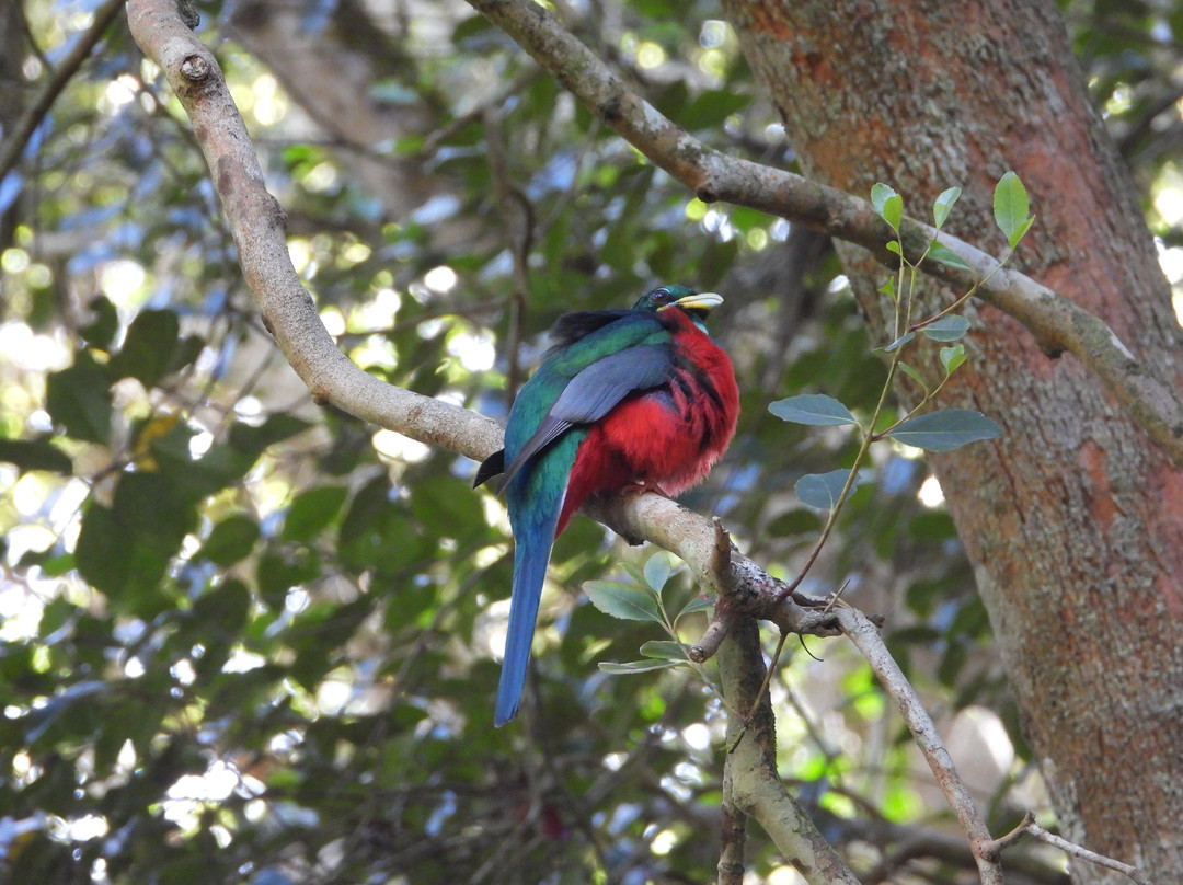 Reflections Eco Reserve主图