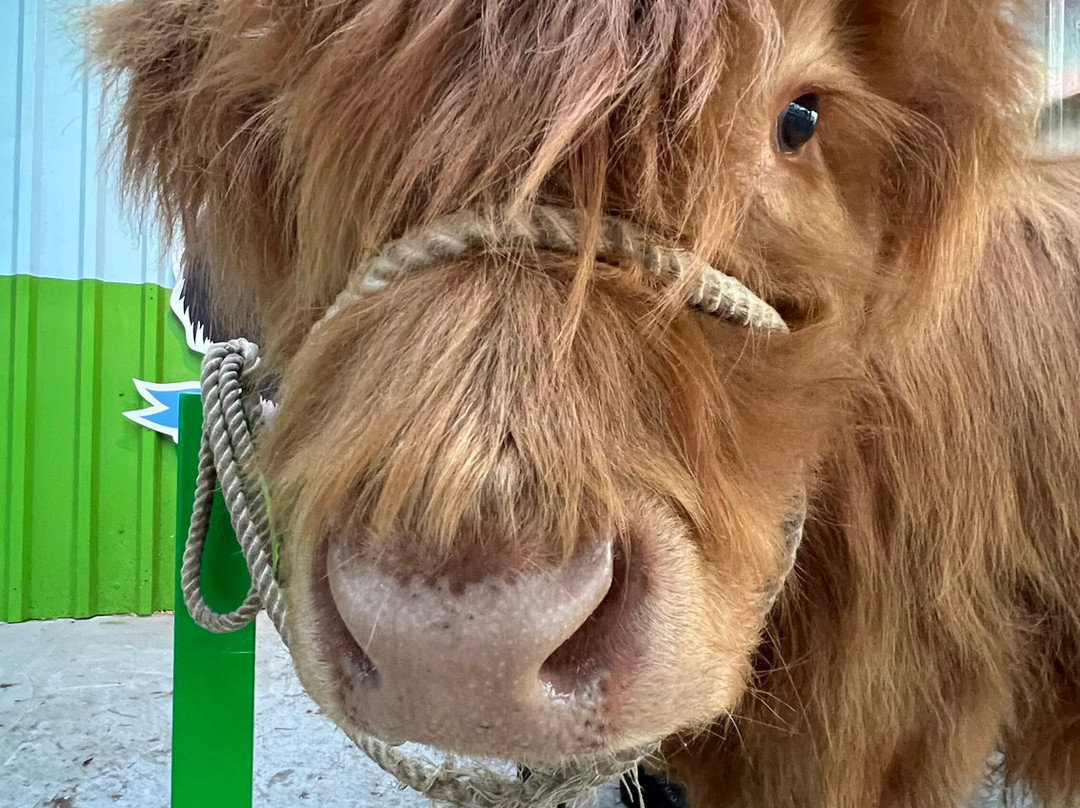 Dumble Farm-比弗利必去景点