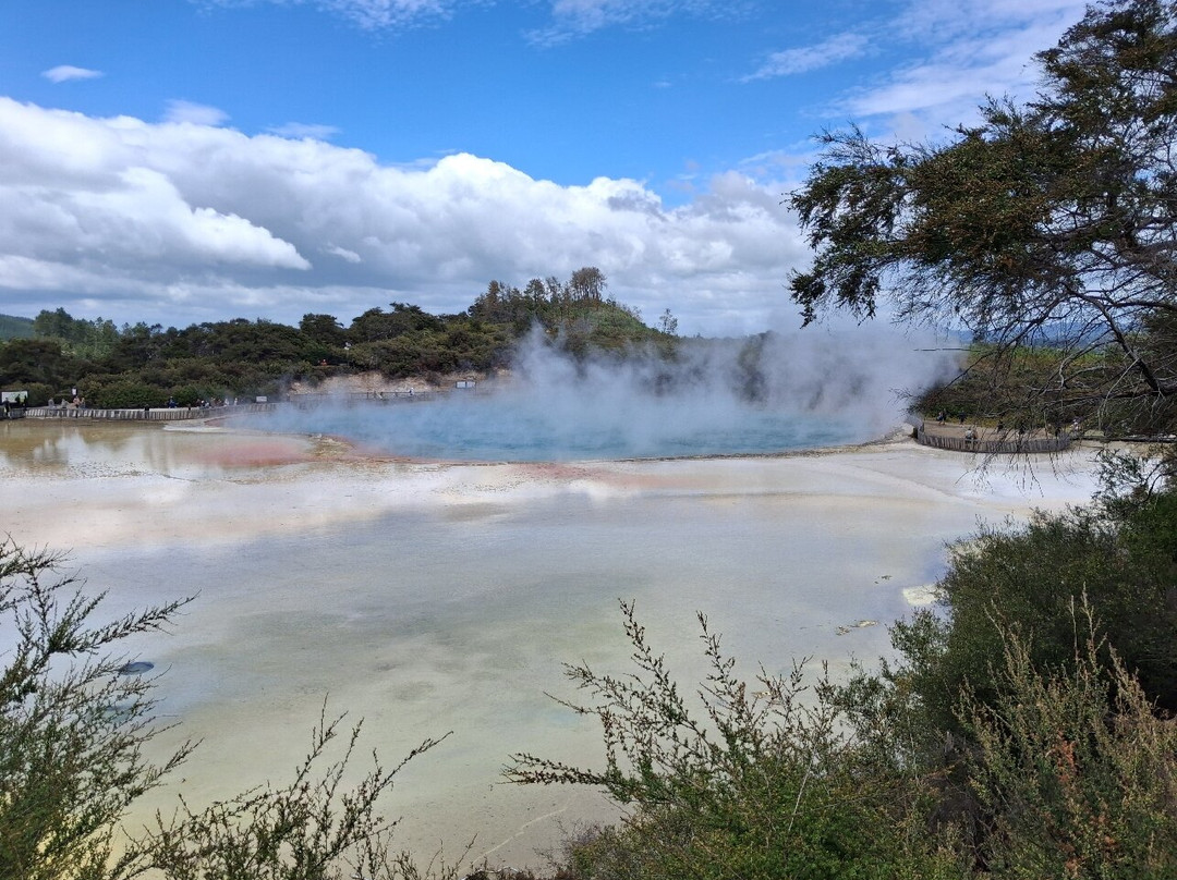 Scott Tours-陶兰加必去景点
