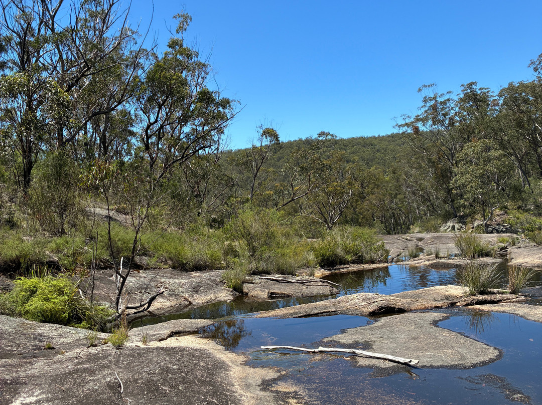 Boonoo Boonoo National Park-坦特菲尔德必去景点