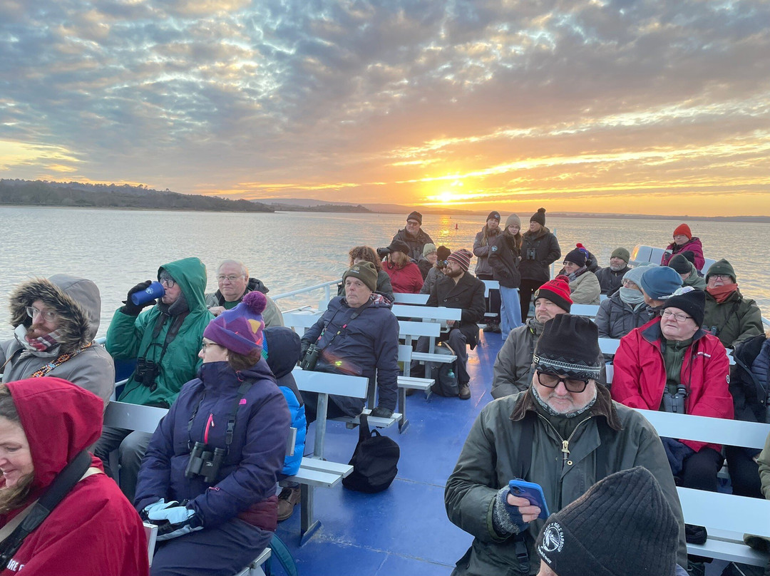 Birds Of Poole Harbour Events-普尔必去景点