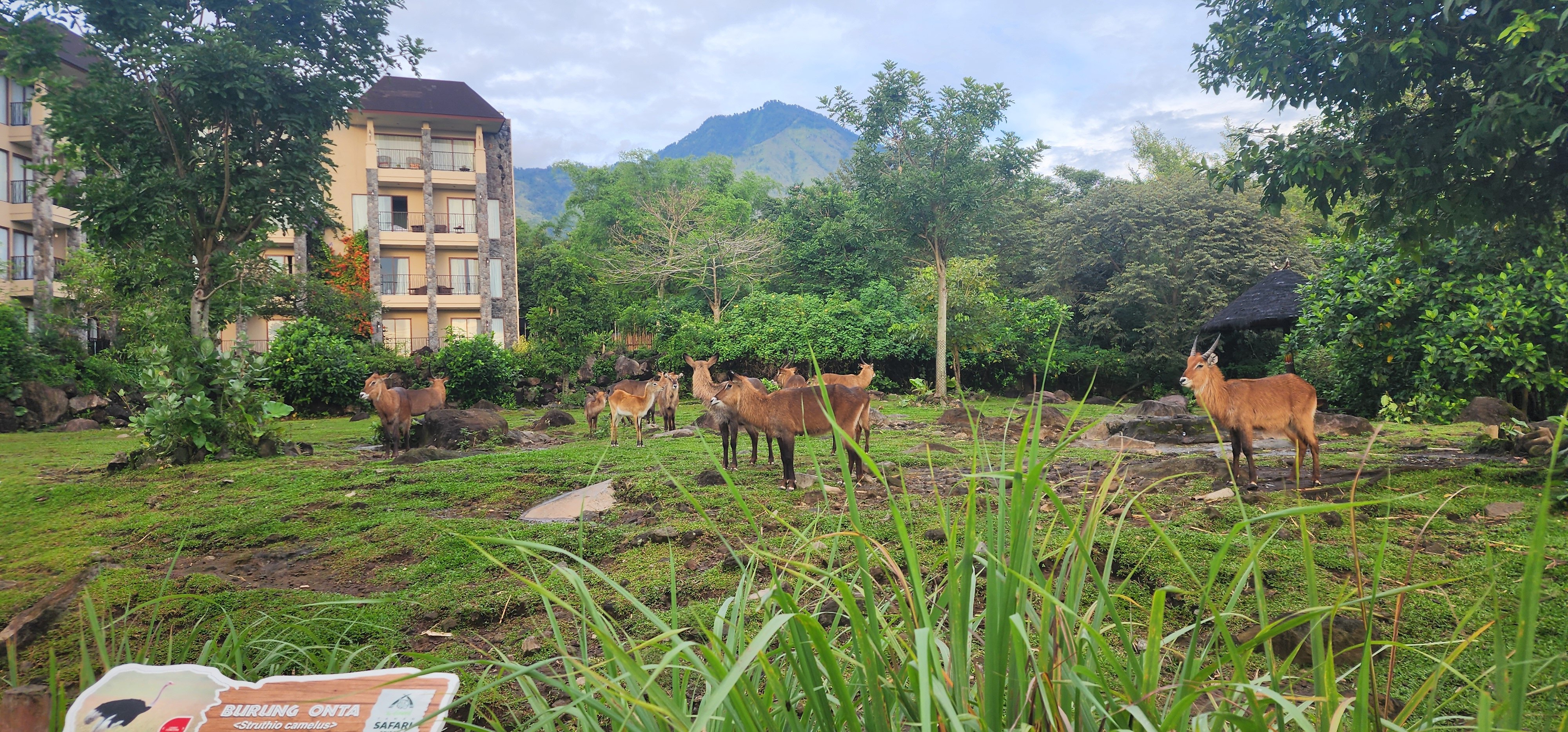 Baobab Safari Resort-官方