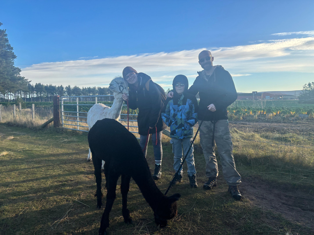 John Muir Alpacas-Dunbar必去景点