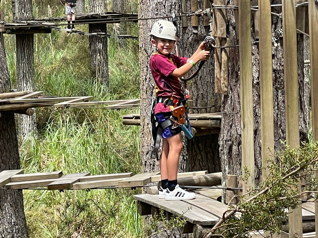 Tree Adventures-伍德山必去景点