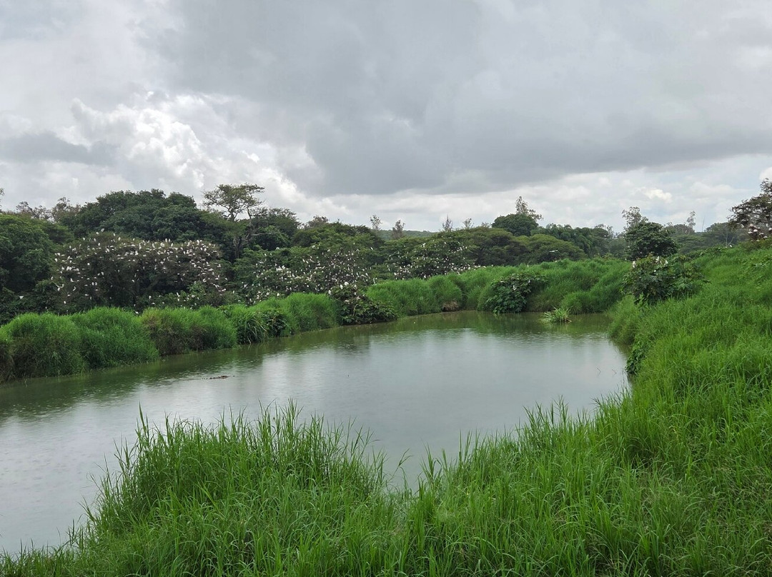 Kalimba Reptile Park-卢萨卡必去景点