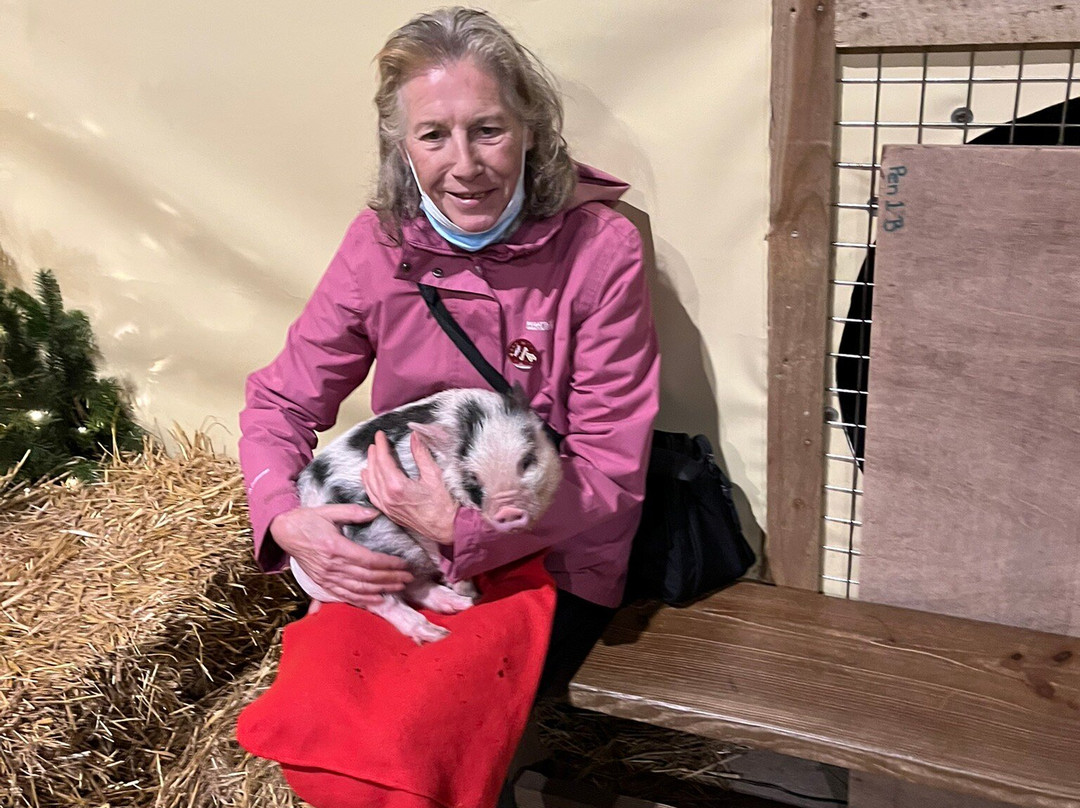 Pennywell Farm-Buckfastleigh必去景点