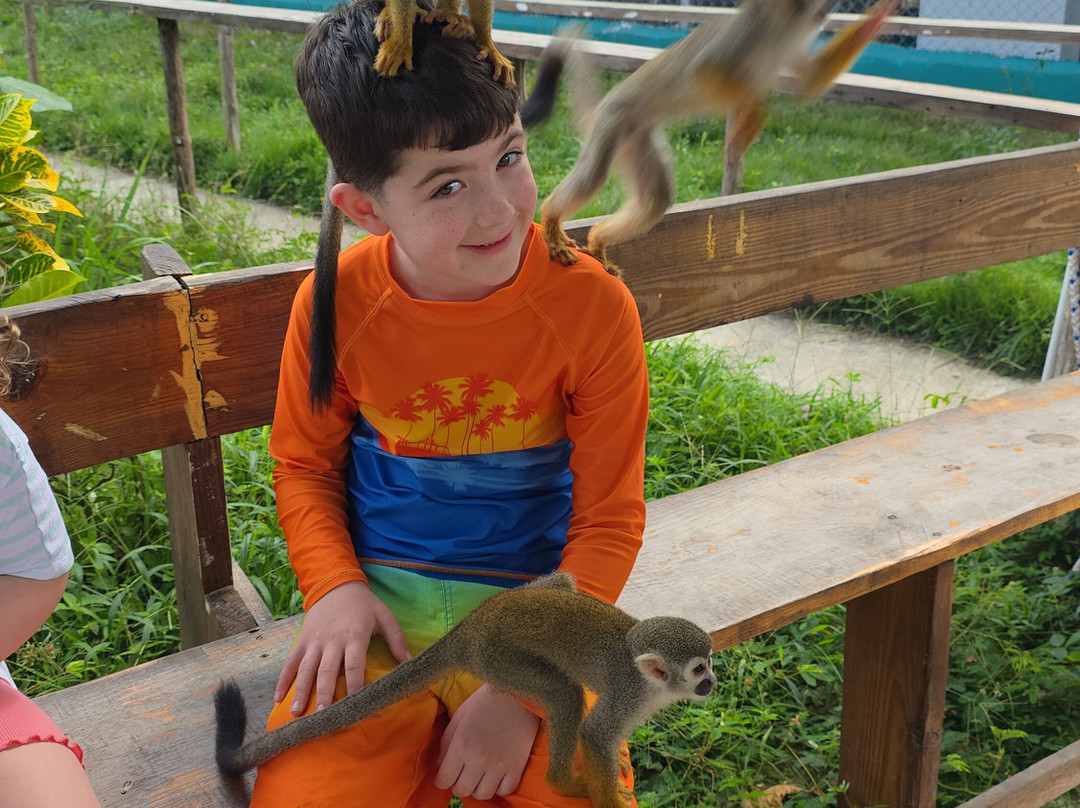 Monkey Home Puerto Plata-普拉塔港必去景点