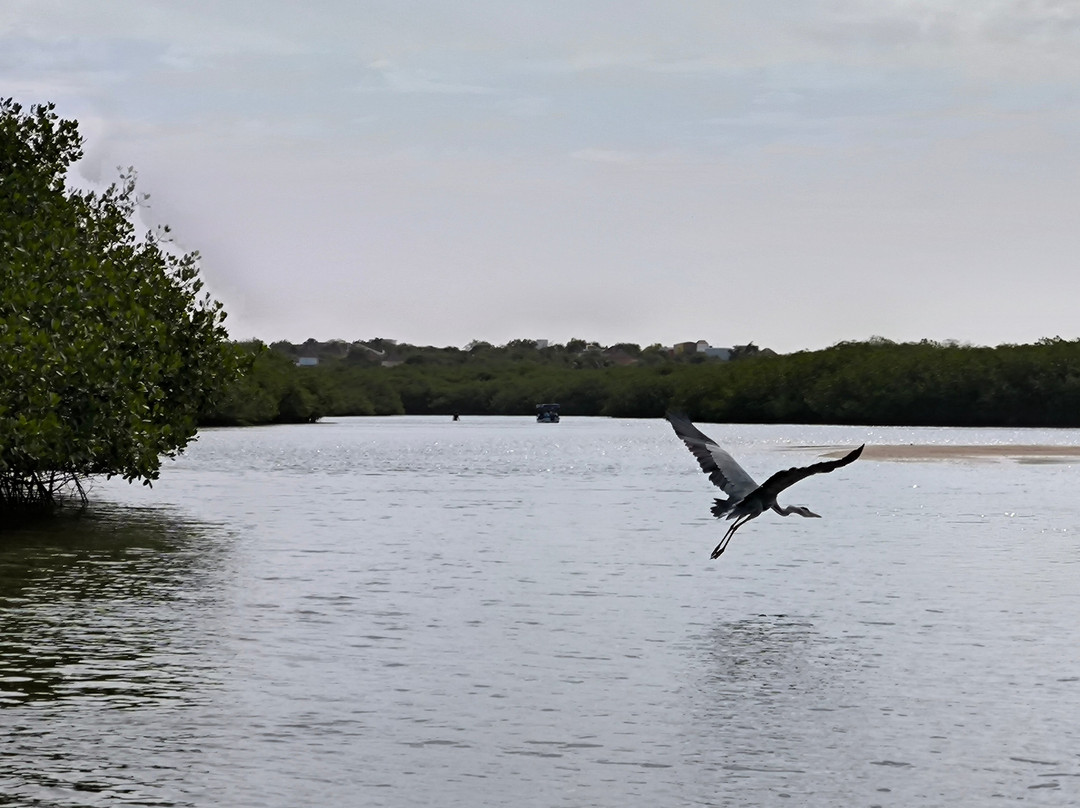 Lagune de la Somone-索蒙必去景点