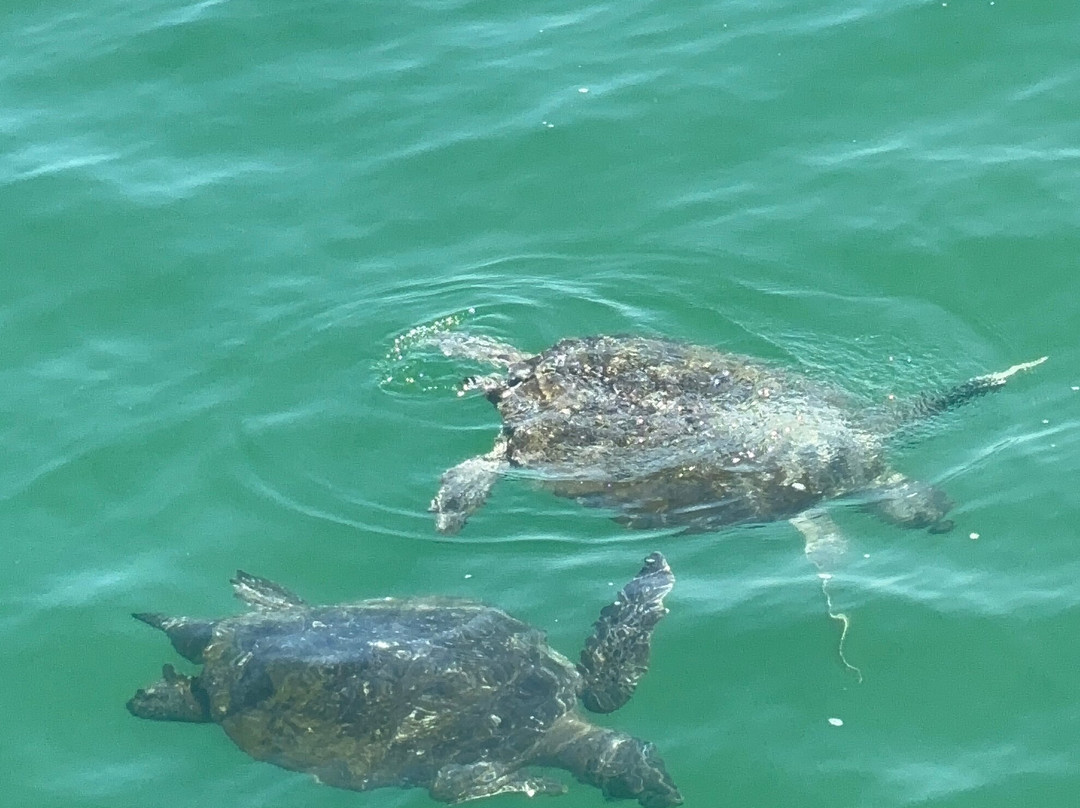 Alagua-Organos必去景点