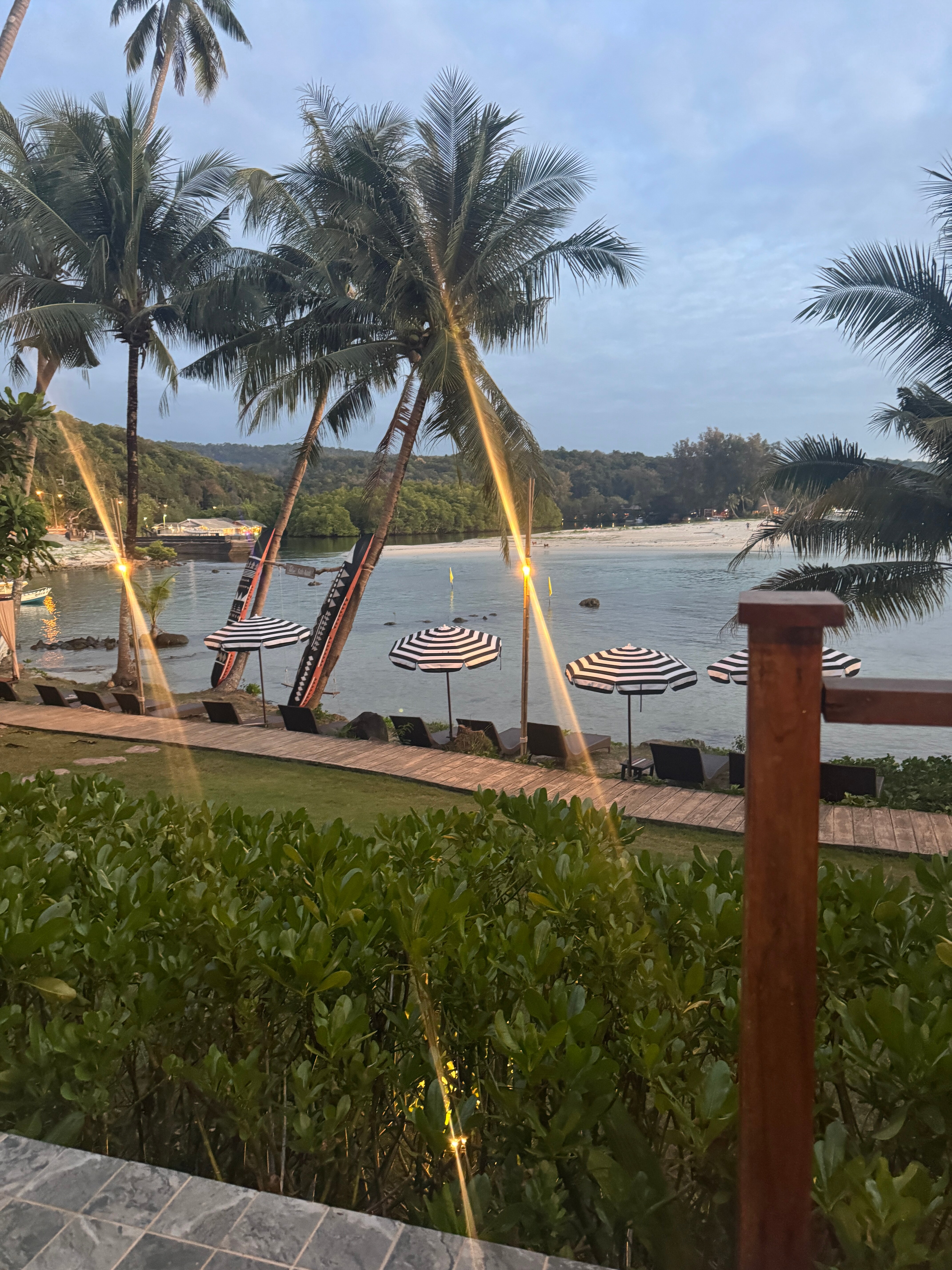 沽岛艾维沽岛度假村-官方