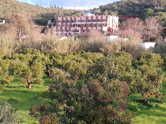 Colina dos Mouros主图