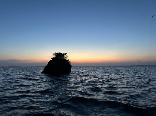 Safari Shwari Mafia Island-Utende必去景点