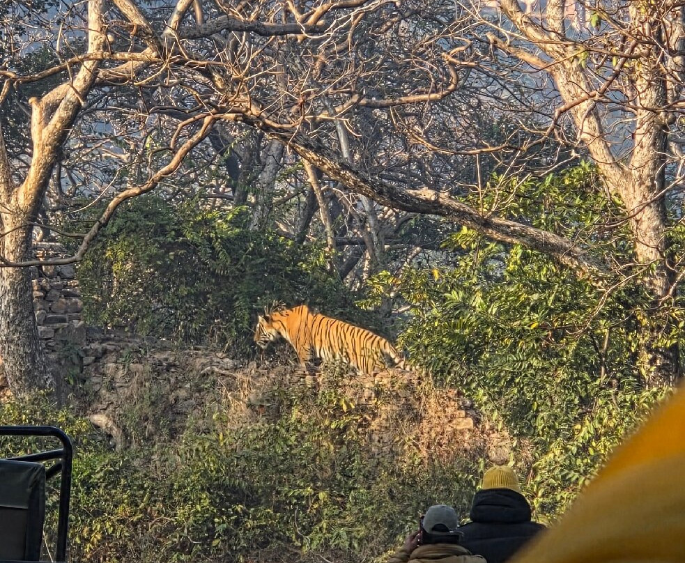 Khem Villas Ranthambore主图