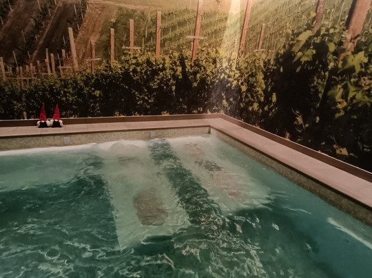 圣吉亚科莫酒店主图