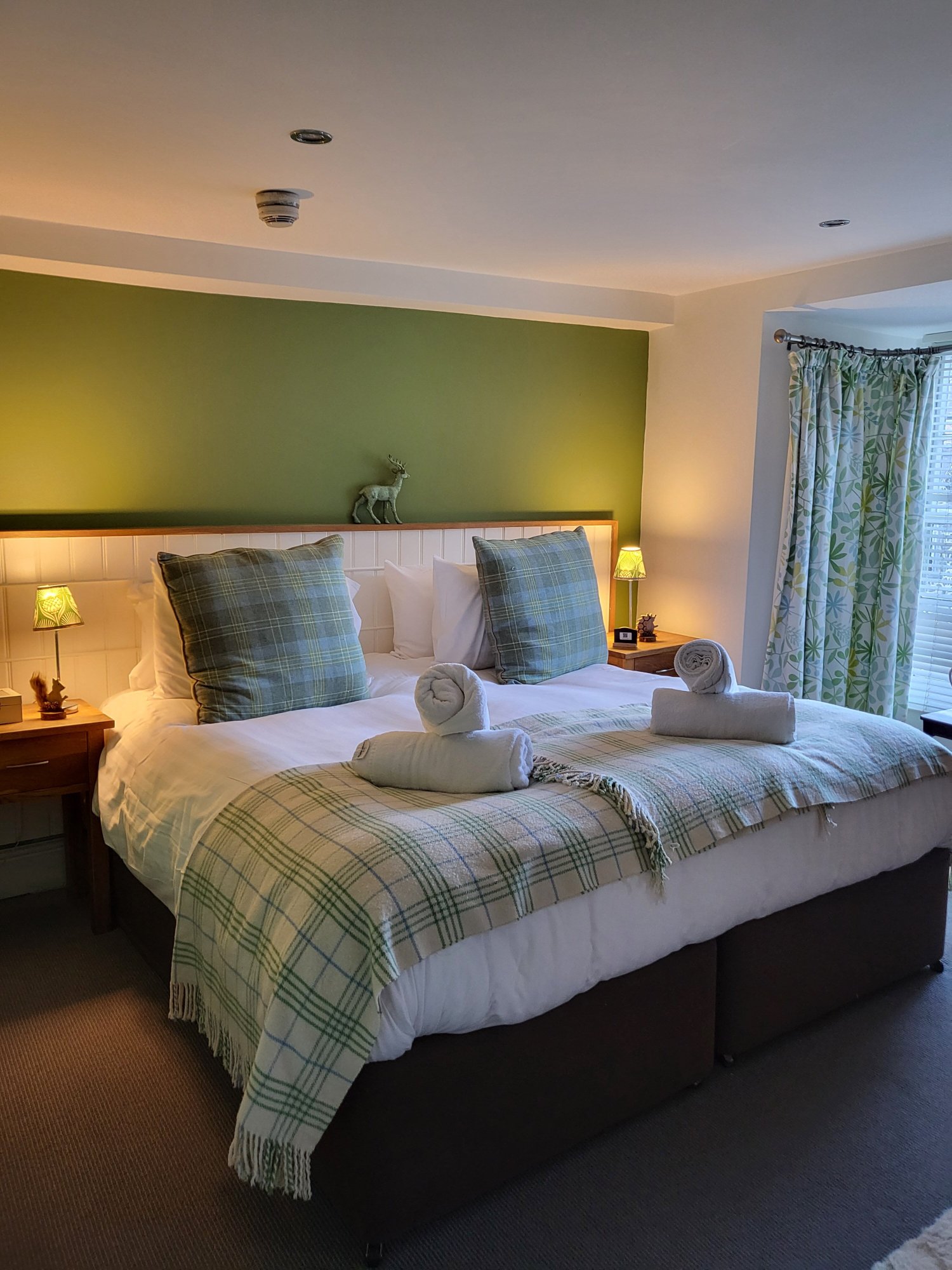 Y Meirionnydd Hotel-客卧